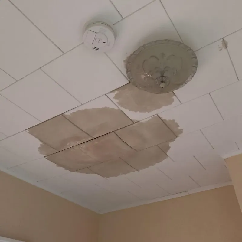Ceiling Water Damage Repair in Montour County, PA