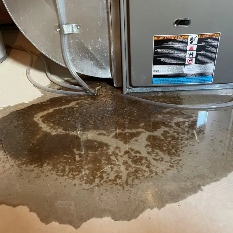 Pipe Burst and Leak Restoration in Montour County, PA