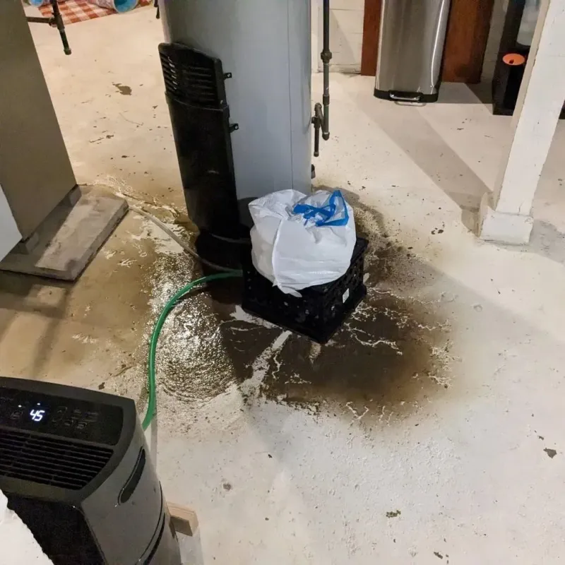 Sewage Backup Cleanup Service in Montour County, PA